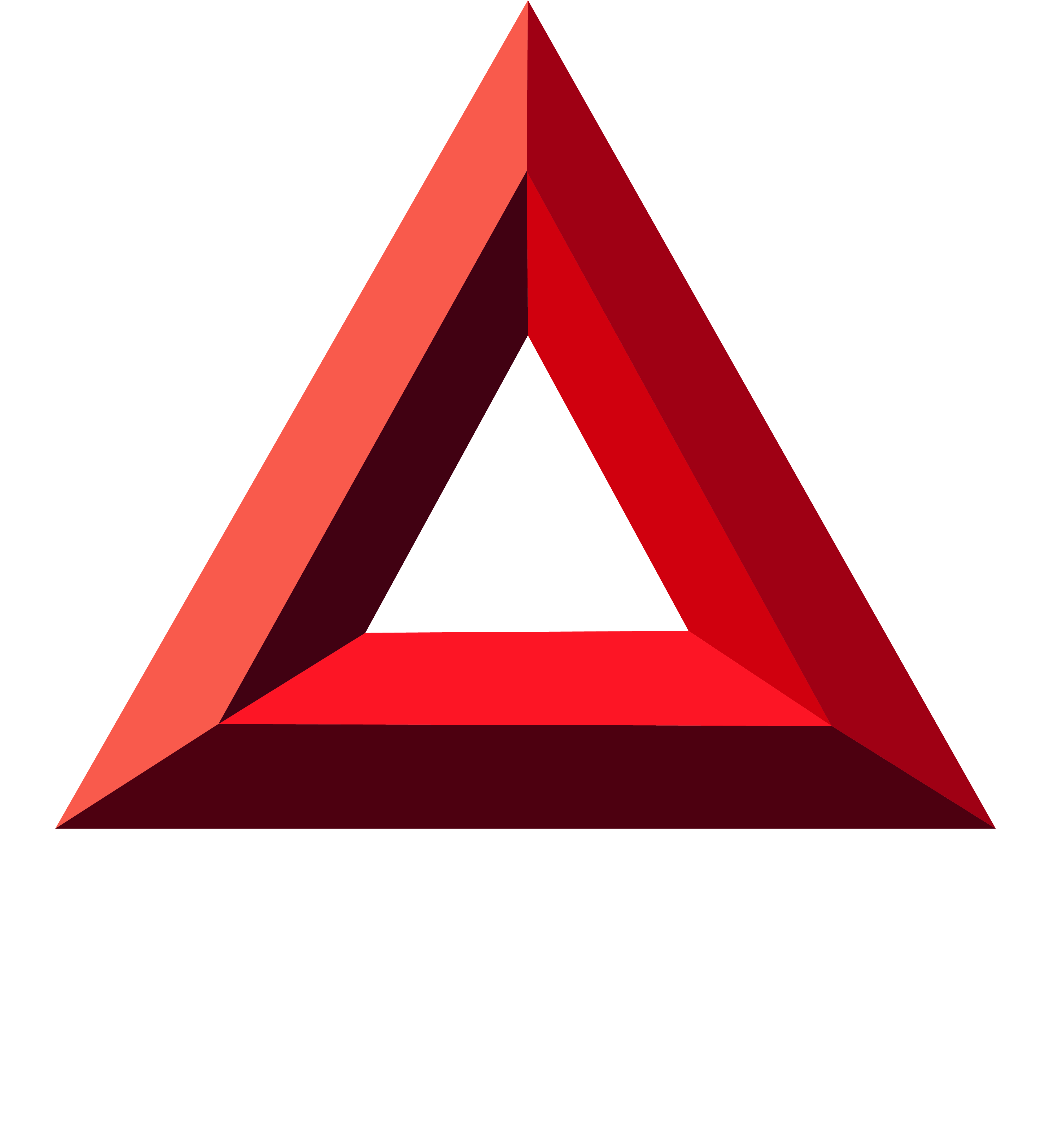 An image of Trigon Combat